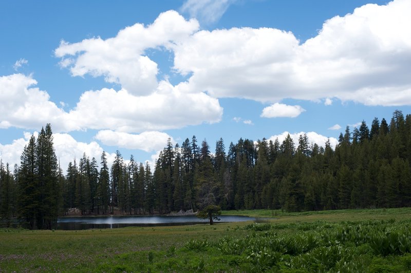 Meadow and Lukens Lake approaching the lake.