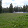 Flowers blooming as you approach Lukens Lake.