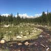 Unicorn Creek flowing out of Elizabeth Lake and toward the Tuolumne River.