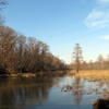 Roosevelt Island Marsh