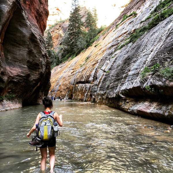 The Narrows, Zion National Park