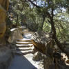 Cliff Palace Overlook Trail