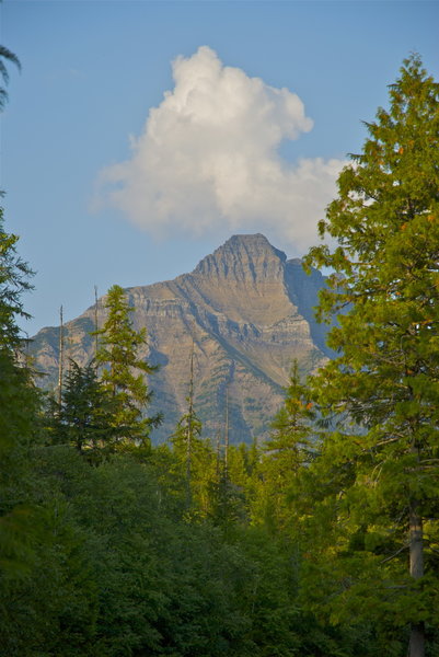 The view while crossing McDonald Creek.