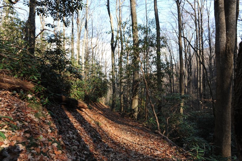 Lead Cove Trail as the sun begins to set.