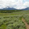 Backside of bunsen peak trail.