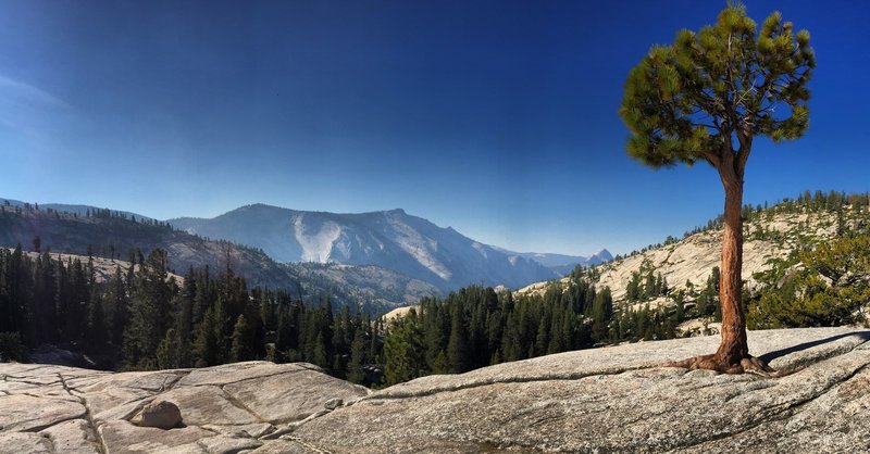 View of Half-Dome from Olmstead Point