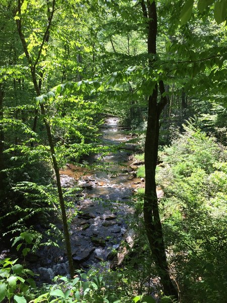 Lovely Smoky Mountains Stream