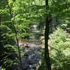 Lovely Smoky Mountains Stream