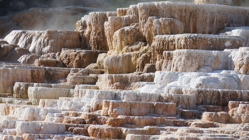 Mammoth Hot Springs