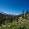 Hiking up the ridge to Middle and Upper Gaylor Lakes.