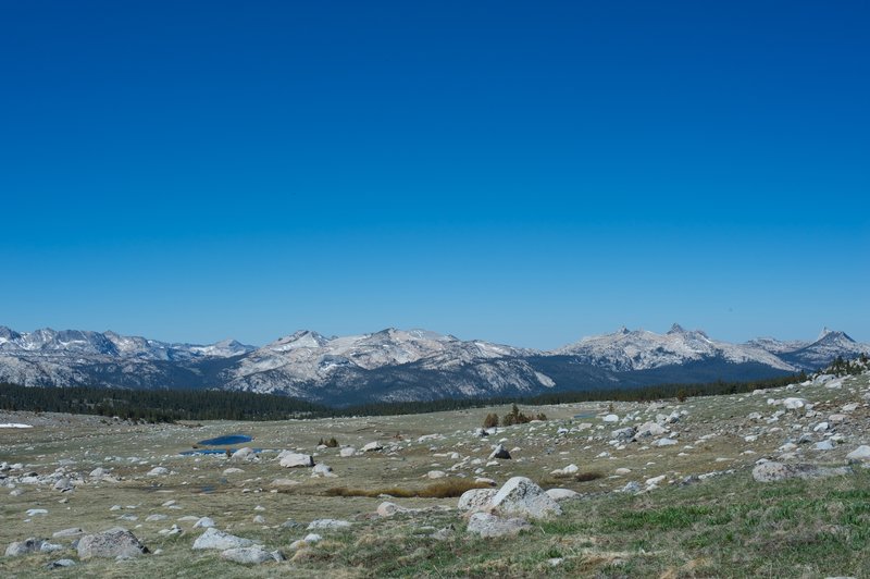 A view of the Cathedral Range from the alpine basin where the Gaylor Lakes, and Granite Lakes are found.