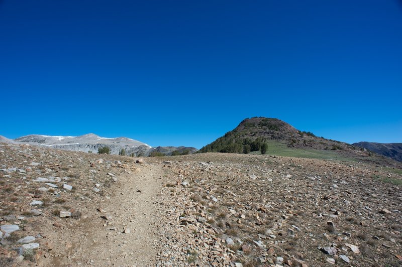 Gaylor Peak as you approach the saddle.