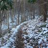 Cucumber Gap Trail as it winds through the forest in November.