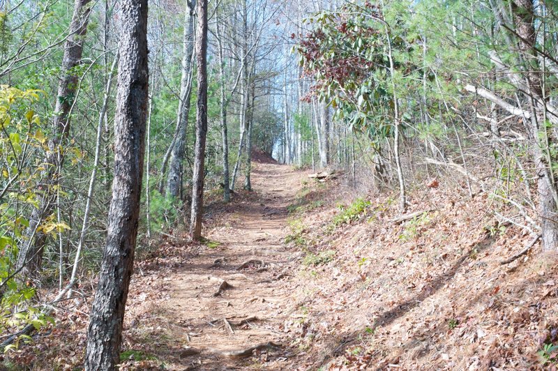 Meigs Creek Trail climbing from the Sinks to Lumber Ridge Trail.