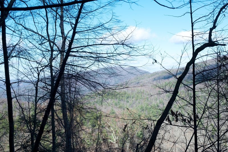 Mountains peeking through the trees on the trail.