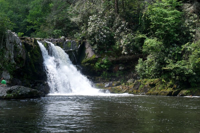 Abrams Falls in the summer.