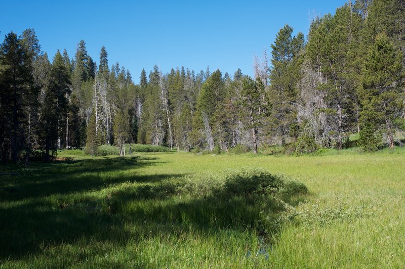 A view to the west of McGurk Meadow, you can see the water winding it's way through meadow.