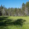 A view to the west of McGurk Meadow, you can see the water winding it's way through meadow.