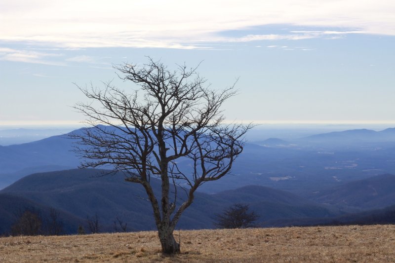 Cold Mountain in December.