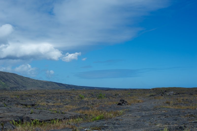 Hiking out to the petroglyphs across the old lava field.
