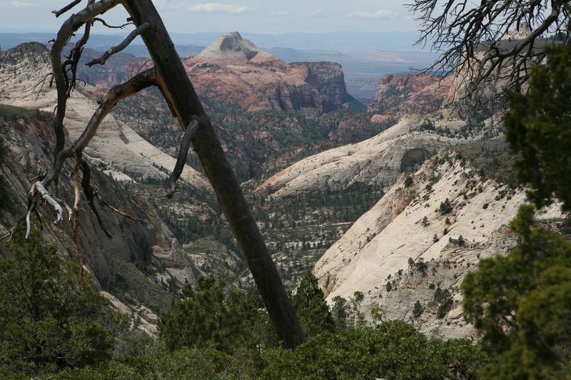 Awesome view from Horse Pasture Plateau.  Zion West Rim Trail May 2015