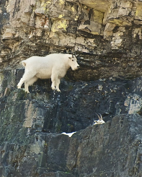 A local rock climber above the rest.