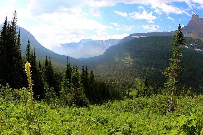 Looking back towards Swiftcurrent Lake