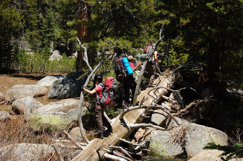 Crossing Porcupine Creek.