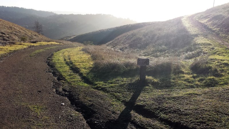 View down Indian Creek Trail from the top.