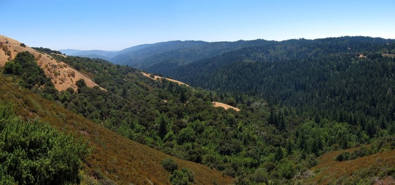 Stevens Creek Valley from Monte Bello Open Space Preserve Bella Vista Trail