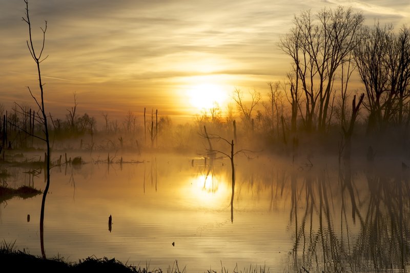 Sunrise on the Great Marsh.