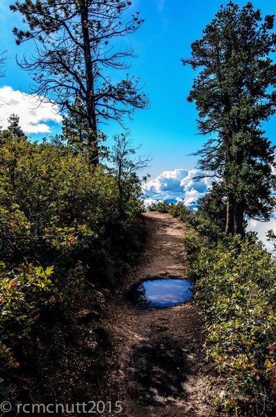 Transept trail-rain puddle or a tunnel?