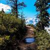 Transept trail-rain puddle or a tunnel?