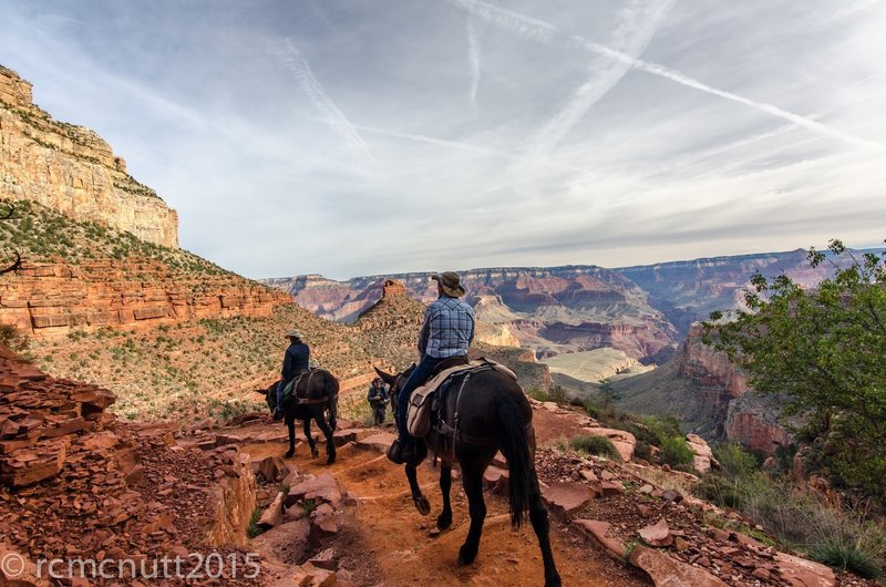 Bright Angle Trail- South Rim