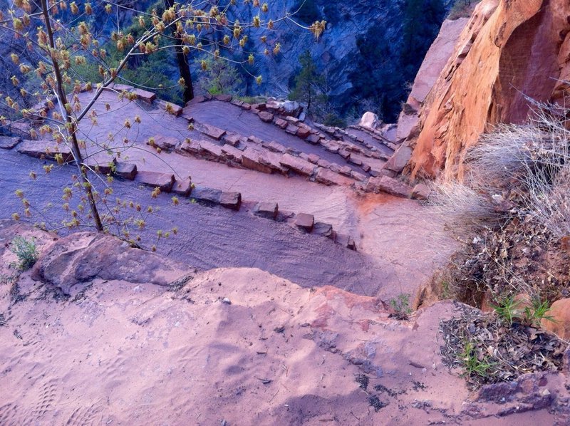 On the way up to Angels Landing.