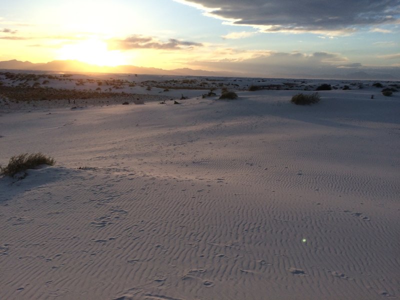 Sunset on the dunes.