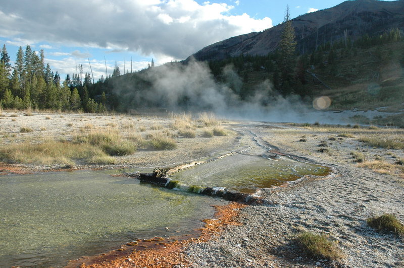 Runoff from Rural Geyser and nearby thermal features.