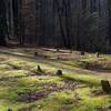 Many of the graves in the cemetery are unmarked.