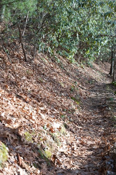 The trail making its way along the ridge line.