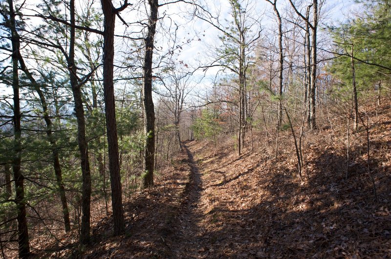 The trail winding along the ridge line. The trail is fairly narrow the whole way.