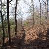 The trail winding along the ridge line. The trail is fairly narrow the whole way.