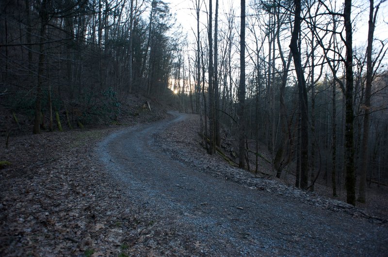 Rich Mountain Road as it comes down to the trailhead from Cades Cove.