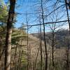 Most views of the mountains are obstructed by the trees along this trail.