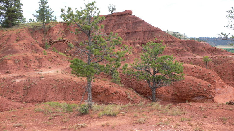 Awesome red badlands along Red Beds Trail.