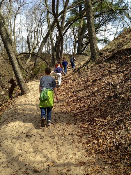 Hiking up the dune ridge on Trail 9.