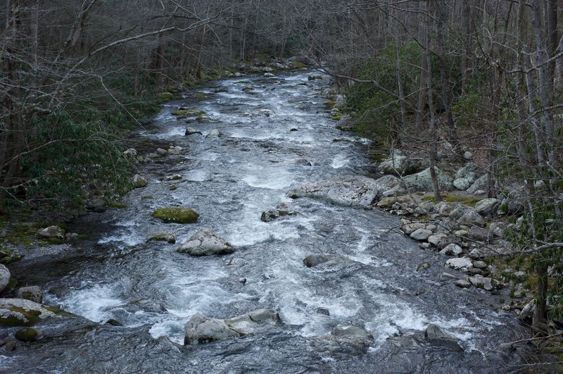 Middle Prong of the Little River as it works it's way toward Tremont and the Townsend Y.