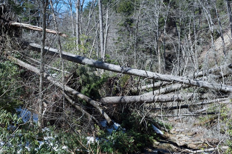 Log jam, land slide, mud slide. It's a mess, and the trail now bypasses it making it easier for to navigate the downed trees.