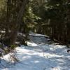 The higher elevations and the shade can allow you the opportunity to walk through the snow even though the trail is clear at lower elevations.