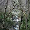 Headed back to the parking lot, you get great views of the creek and footbridges.