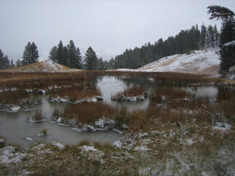 First beaver pond seen on a snowy October day.